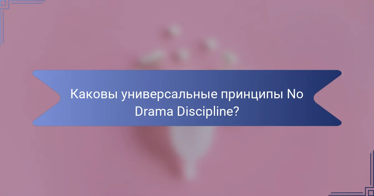 Каковы универсальные принципы No Drama Discipline?